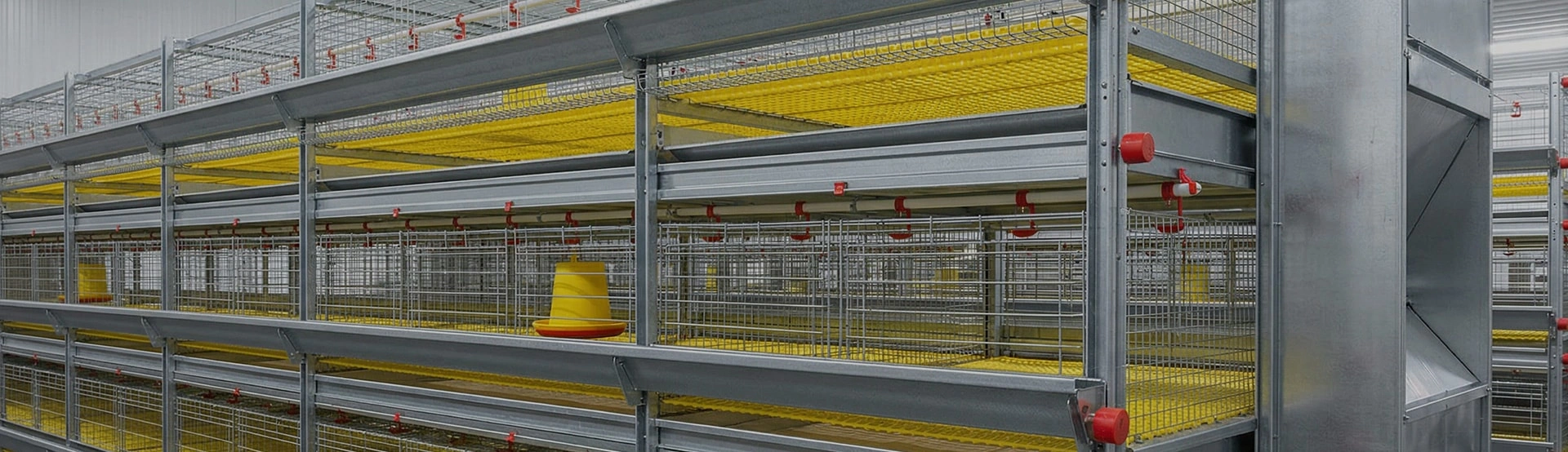 Cages pour poulets de chair