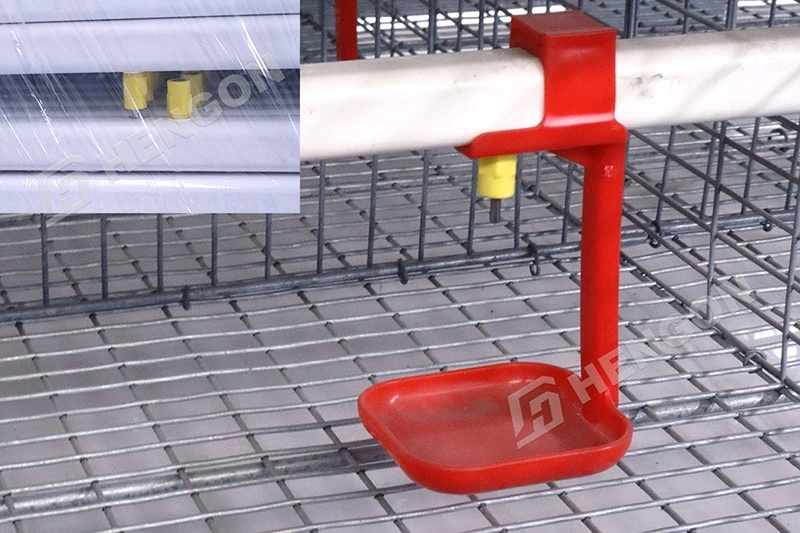 Équipement intelligent pour l'élevage de poulets de chair pour une meilleure croissance